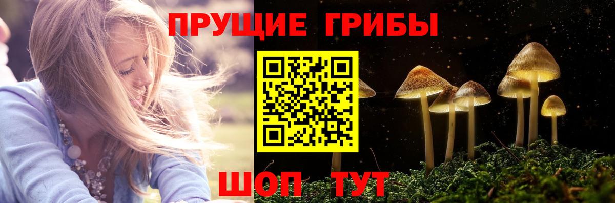 Псилоцибиновые грибы Cubensis  даркнет сайт  Вход с VPN  Елабуга  Галлюциногенные грибы мицелий 
